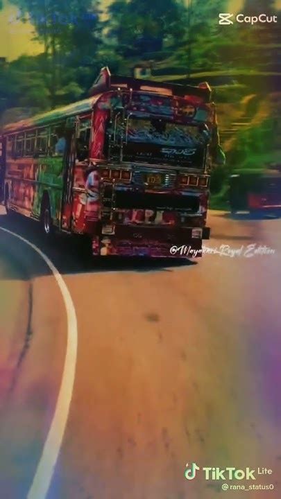 Mayakari මායාකාරී Mayakari Bus 💓 Youtube