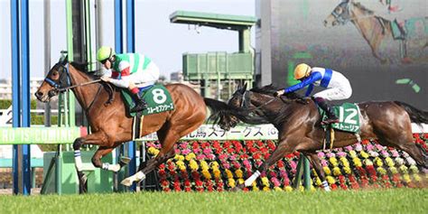 【中山牝馬s】フィアスプライド連勝期待／今週の注目レース 競馬ライブ速報 日刊スポーツ