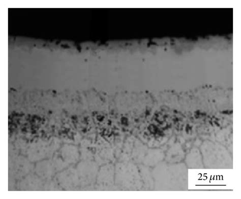 Optical View Of The Cross Section Of The Aisi 316l Steel Borided At A