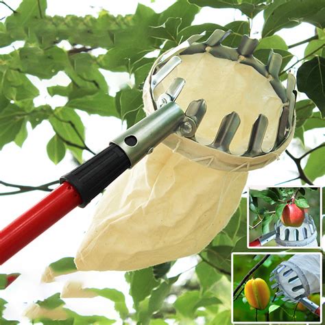 Visland Fruit Picker Head Basket Fruit Picking Tools, Fruits Catcher ...