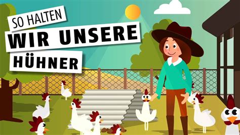 So Halten Wir Unsere Hühner 🐔 Youtube