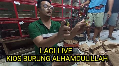 Kios Alhamdulillah Lagi Bongkaran Burung Murah Meriah Pasar Burung