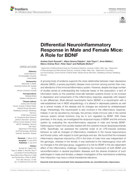 PDF Differential Neuroinflammatory Response In Male And Female Mice