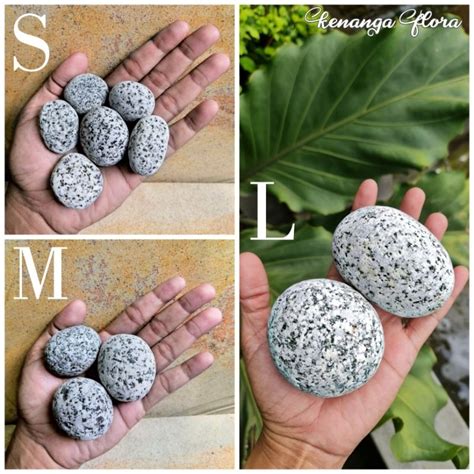 Jual BATU KORAL TELUR PUYUH 10 Kg Shopee Indonesia