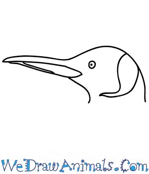 How to Draw a Penguin Face