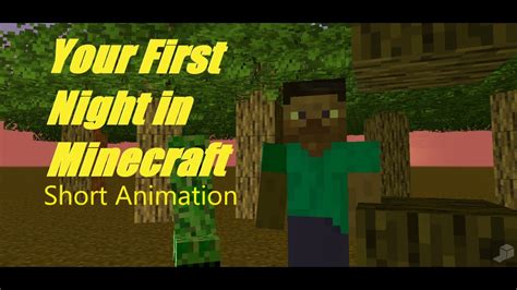 Your First Night In Minecraft Short Animation Youtube