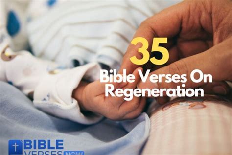 35 Bible Verses On Regeneration With Detailed Explanations