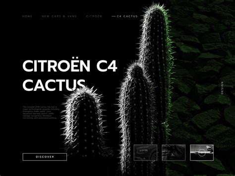 CACTUS Concept By Elena Heaven On Dribbble