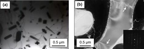 Bright Field Transmission Electron Microstructure Showing A Fine Download Scientific Diagram