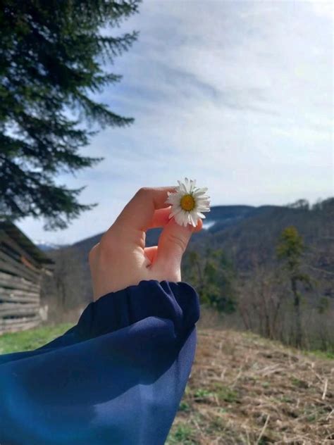 Pin di bts ARMY su منشورات من خلالك Foto di fiori Foto Fiori