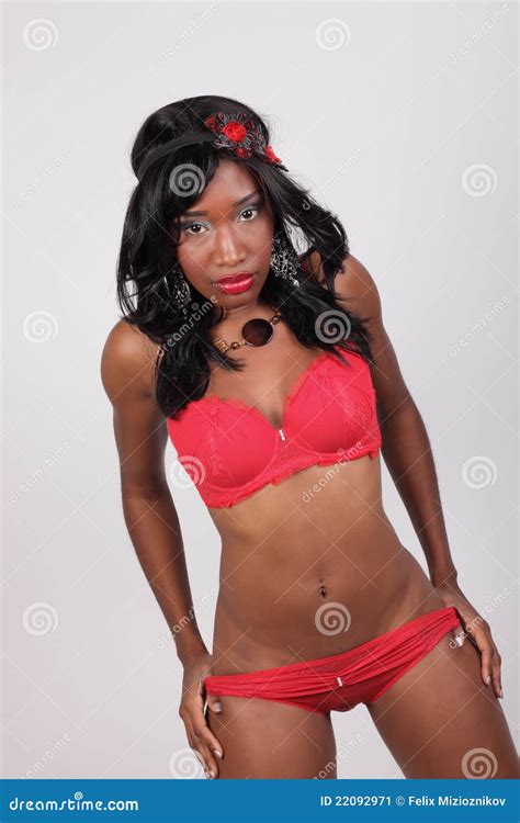 Woman In Red Lingerie Stock Image Image Of Lingerie 22092971