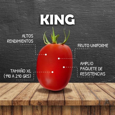 Semillas De Tomate King F1 Indeterminado Meses Sin Intereses