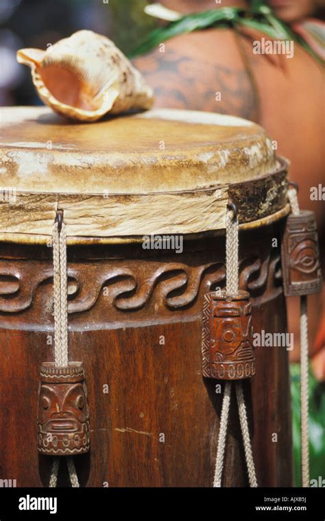 Conch Shell Carving High Resolution Stock Photography and Images - Alamy