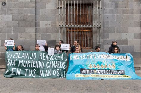 Los Activistas En Huelga De Hambre Clavijo Reacciona Canarias Est