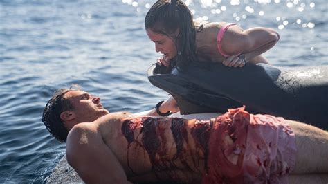 Shark Bait La Recensione Darkside Cinema