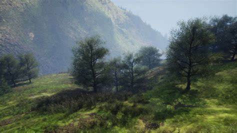 Misty foggy mountain landscape with fir forest 34814886 Stock Video at ...