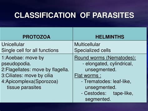 Ppt Intestinal` Protozoa Powerpoint Presentation Free Download Id9708629