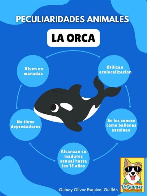 Orca Peculiaridades Dr Quinver UDocz