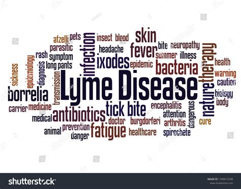 Lyme Disease Word Cloud Concept On Stock Illustration 1700013538