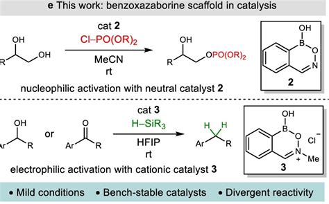 Boron Chem Research On Twitter Direct Nucleophilic And Electrophilic