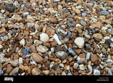 Spiaggia Ciottoli Ciottoli Ghiaia Essere Immagini E Fotografie Stock Ad