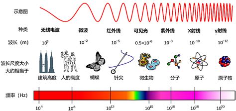 ARBImaging 培训文档