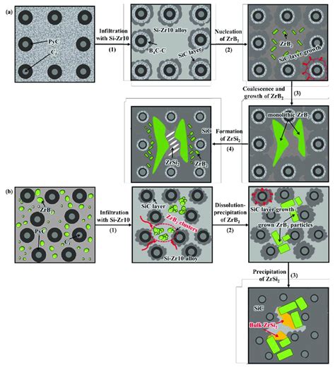 Schematic Illustrations Of Microstructural Evolution And Formation