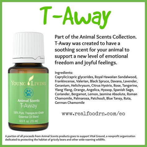 17 Best Yl Essential Oils Animal Scents Images On Pinterest Young