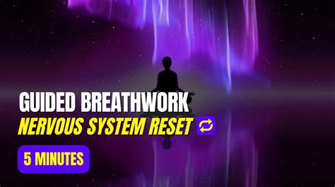 Guided Breathwork Exercise Nervous System Reset Youtube