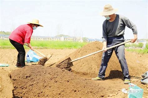 不误农时春耕忙 随县人民政府门户网站