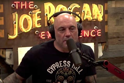 Joe Rogan Is Very Mad Cnn Said He Took Horse Dewormer To Treat Covid