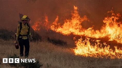 Waldbr Nde In Kalifornien Fast Menschen Evakuiert