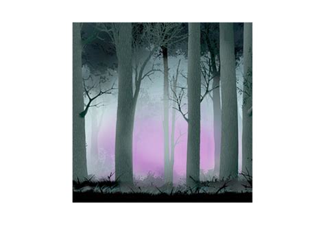 T025 Misty Woods Painting T025 JaDuke Backdrops