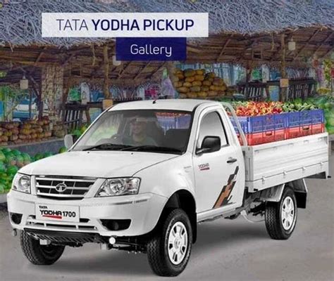 Tata Yodha 1700 Pickup Truck Diesel At Rs 901000 Piece In Palghar Id