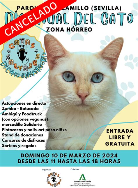 Parque Del Alamillo Se Suspende La Celebraci N Del D A Anual Del Gato