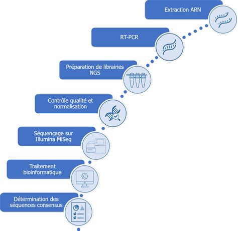 Séquençage Danticorps Biomnigene