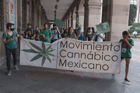 México Avanza Para Legalizar El Consumo De Cannabis Un Paso Modesto Hacia La Reducción De La