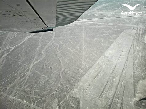 Impresionante Fotos De Las Lineas De Nazca AeroNasca