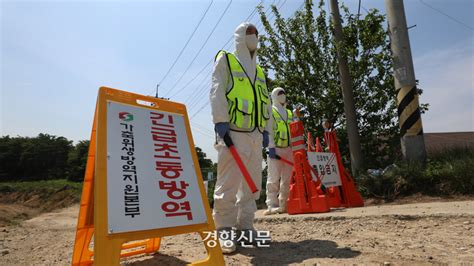 구제역에 과수화상병까지잇따르는 동·식물 전염병에 충북도 비상 네이트 뉴스