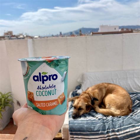 Alpro Absolutely Coconut Salted Caramel Reviews Abillion