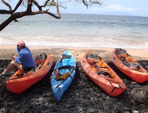 Maui Kayaks Kihei Atualizado 2023 O Que Saber Antes De Ir Sobre O