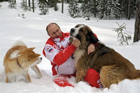 Vladimir Putin Dog