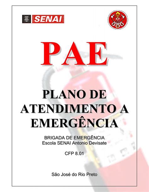 Pae Plano De Atendimento A Emerg Ncia