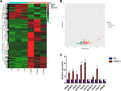 The Differentially Expressed Genes Degs In The Livers Of Control And