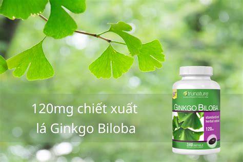 Có nên uống thuốc bổ não Ginkgo Biloba 120mg Trunature