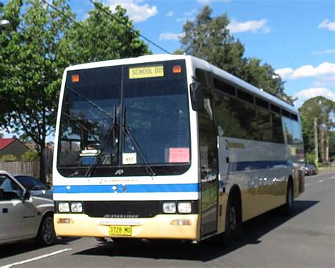 Blue Mountain Bus Company Australia Showbus Bus Image Gallery