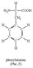 Phenylalanine | chemical compound | Britannica.com