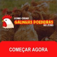 Curso Como Criar Galinhas Poedeiras