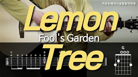 lemon tree fools garden  guitar cover