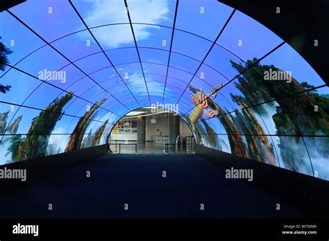 View Of The Worlds Largest Oled Tunnel At Canton Tower In Guangzhou